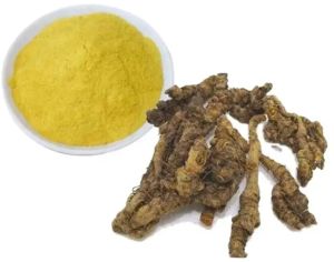 Berberine HCL Extract, Color : Yellow, Packaging Type : Plastic Bags