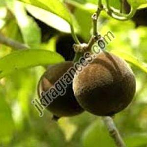 Chaulmoogra Oil
