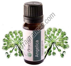 Natural Angelica Seed Oil