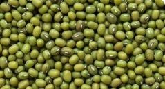 Mung Beans, Packaging Type : Jute Bag