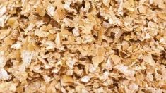 Wheat Bran, Packaging Type : Plastic Bag
