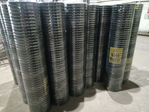 Welded Wire Mesh