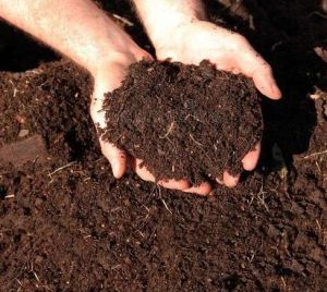 Agriculture Fertilizer