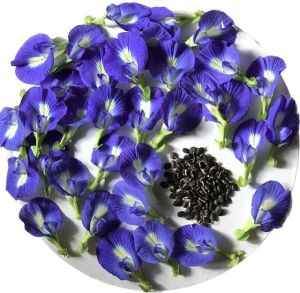 Organic Aparajita Seeds