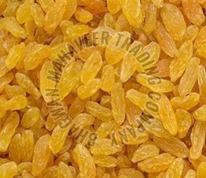 Dry Golden Raisin