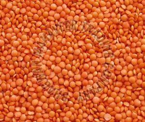 Masoor Dal