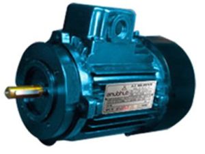 2HP Three Phase Electric Motor