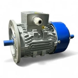 Double Shaft Motor
