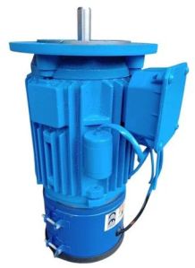 Flange Mounted Brake Motor