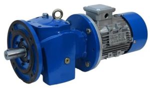 Gear Motor