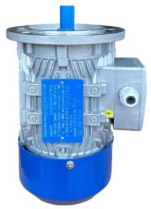 Low Voltage Motor