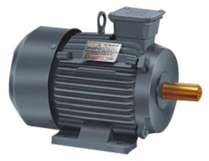 Mild Steel Crane Duty Motor