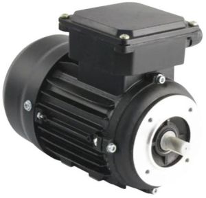 Three Phase Electric Induction Motor