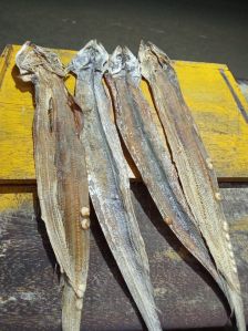 Dried Ribbon Fish, Packaging Type : Vacuum-sealed