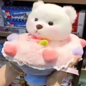 2 in 1 Romantic Bear Plush Teddy Bear