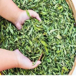 Dried Stevia Leaves
