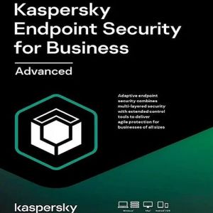 Kaspersky Antivirus Software