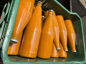 Fresh Alphonso Mango Pulp, Color : Yellow, Purity : 99.99%