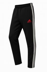 Mens Sportswear Lower