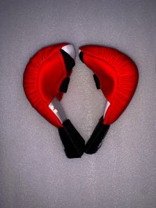 Karate Gloves