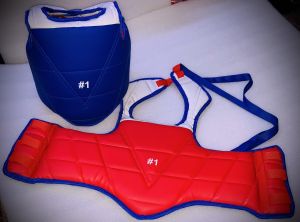 Taekwondo Chest Guard