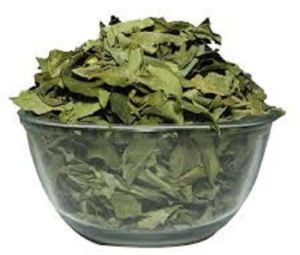 A Grade Curry Leaf