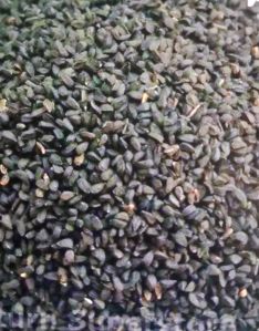 Black Sesame Seeds