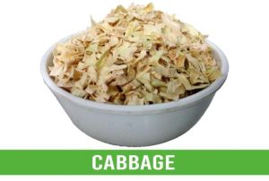 Cabbage