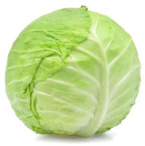 Cabbage Seeds