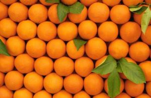 Fresh Orange