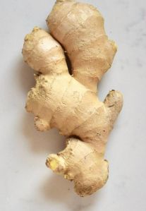Ginger