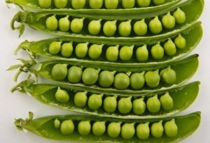 Green Peas