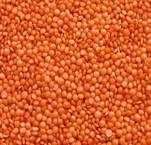 Masoor Daal