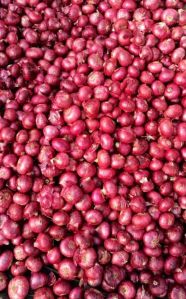 Onions