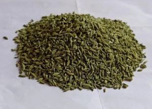 Organic Fennel Seeds