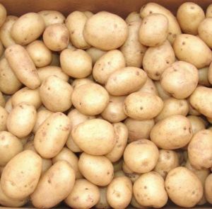Potato