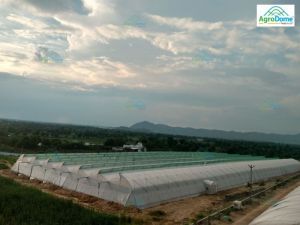 Agricultural Green Houses