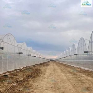 Polyethylene Dome Roof Poly Shade Net House, Color : Green
