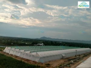 Farming Polyhouse