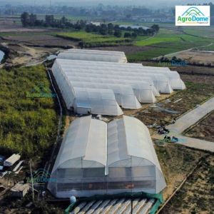 Polyethylene Polyhouse Plastic Sheet