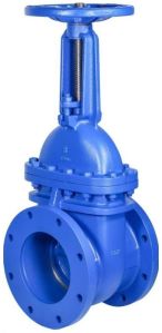 Cast Iron Gate Valve