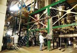 Sattu Plant