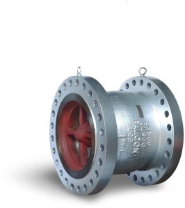 Nozzle Check Valves