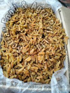 Mml 38 Sangali Long Raisins