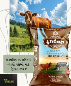Dudh Dhara Mix Pasu Aahar