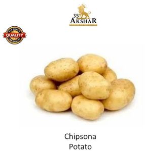 Chipsona Potato