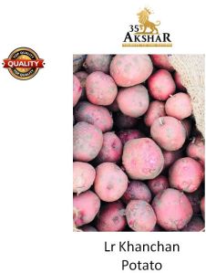 Potato