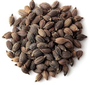Black Cardamom