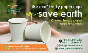 Disposable Paper Cups