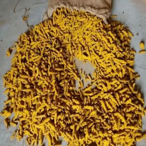 Thakorji Turmeric Finger